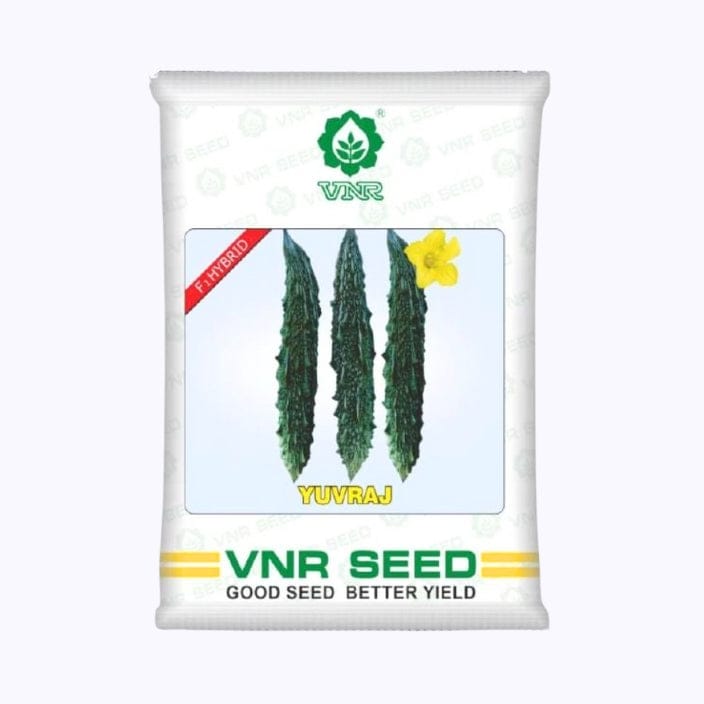 VNR యువరాజ్ బిట్టర్ గోర్డ్ సీడ్స్