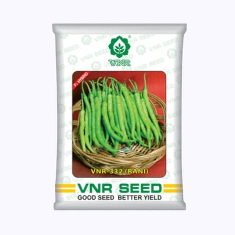 VNR-332 ( Rani ) Chilli Seeds