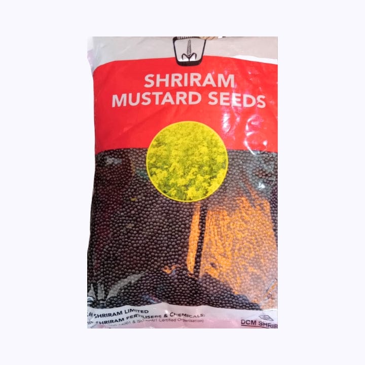 श्रीराम सरसों बीज
