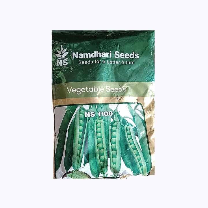 Namdhari NS 1100 Pea Seeds