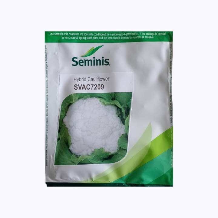 Seminis SVAC7209 Cauliflower Seeds