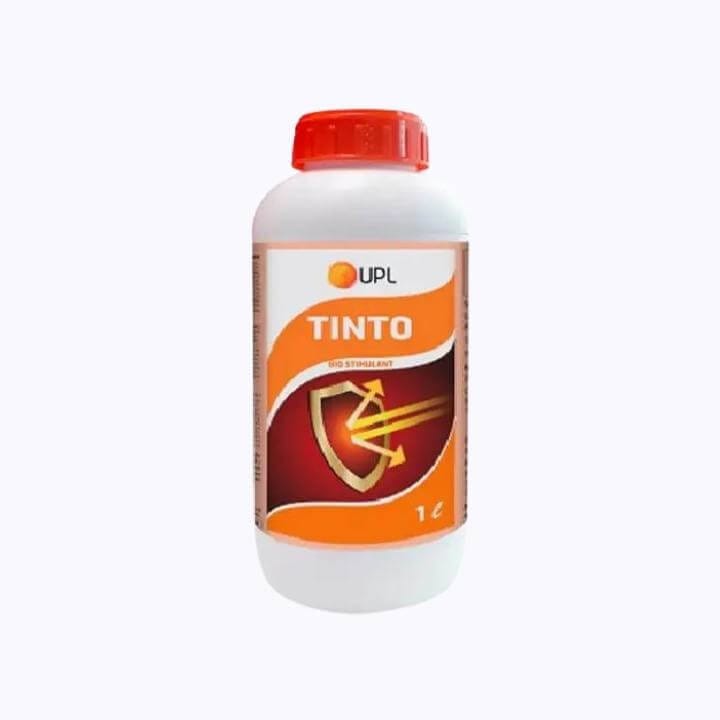 UPL Tinto Insecticide