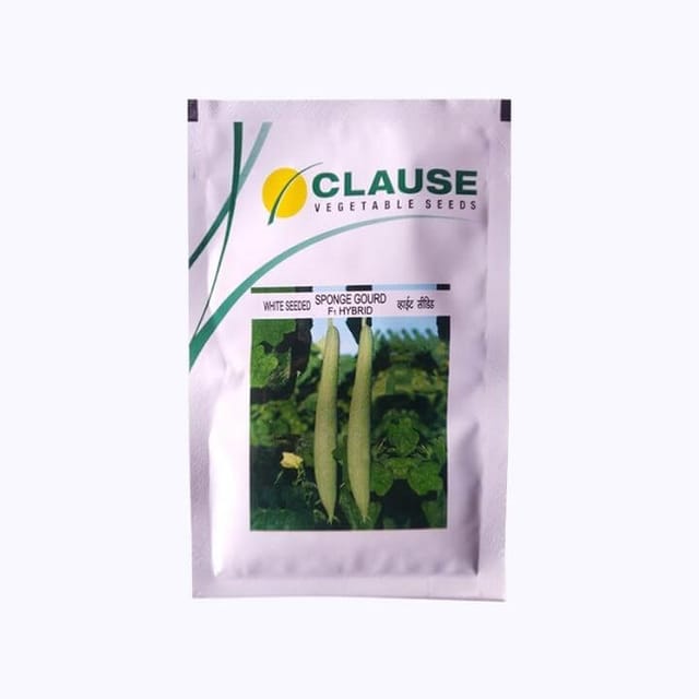 Clause White Sponge Gourd Seeds