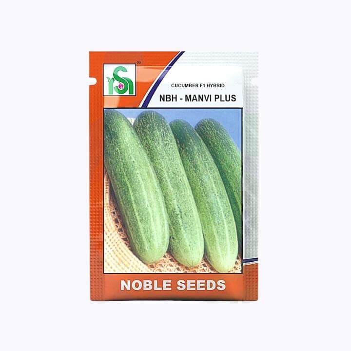 Noble NBH-Manvi Plus Cucumber Seeds