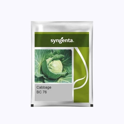 Syngenta BC 76 Cabbage Seeds