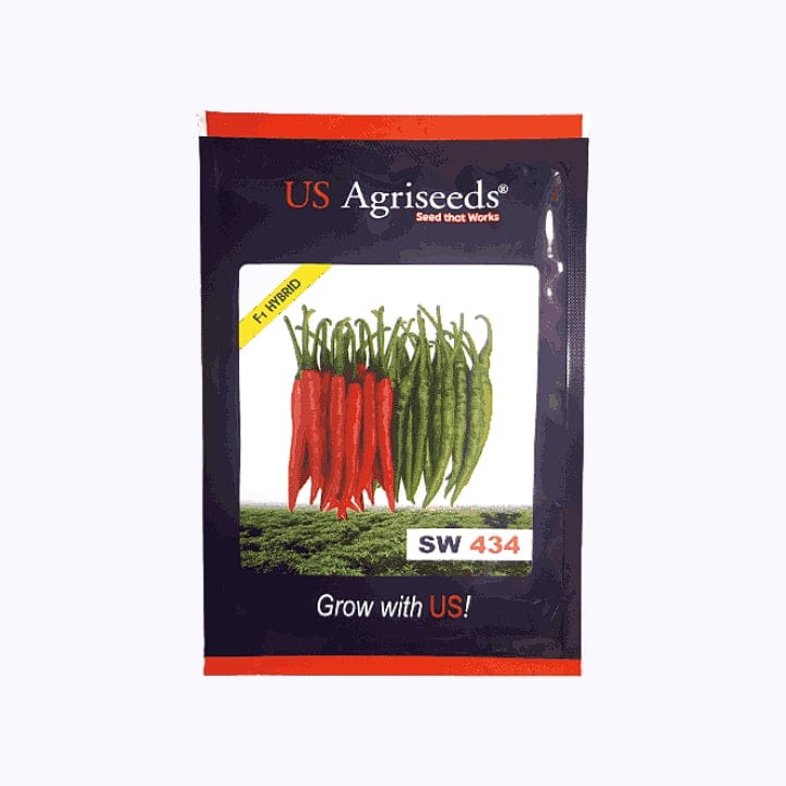 US Agriseeds SW 434 Chilli Seeds