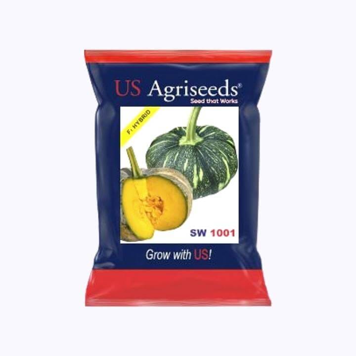 US Agriseeds SW 1001 Pumpkin Seeds