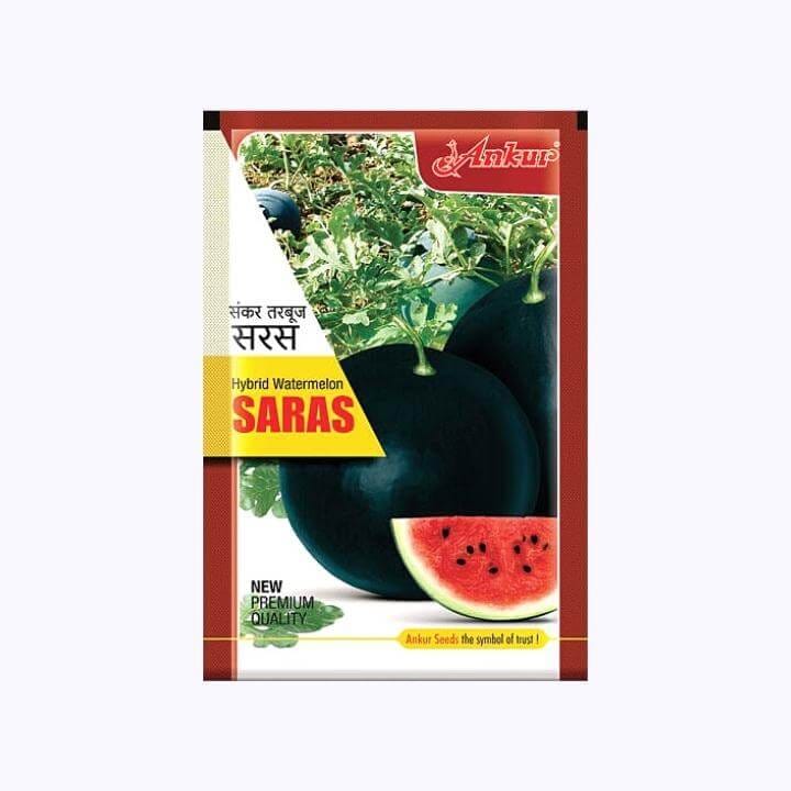 Ankur Saras Watermelon Seeds