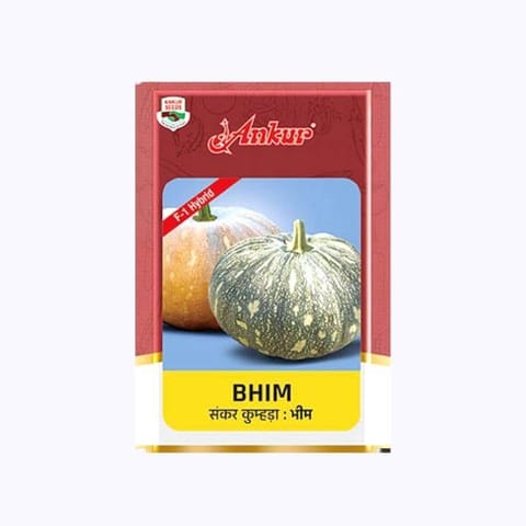 Ankur Bhim Pumpkin Seeds