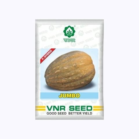 VNR Jumbo Pumpkin Seeds