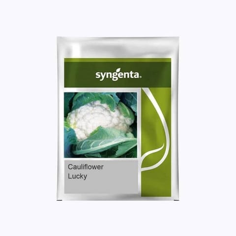 Syngenta Lucky Cauliflower Seeds