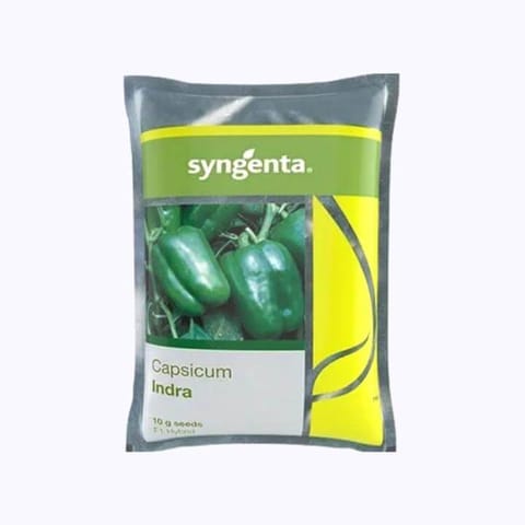 Syngenta Indra Capsicam seeds