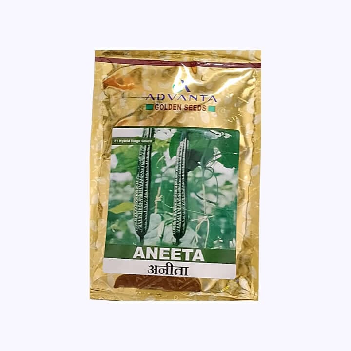 Advanta Aneeta Ridge Gourd Seeds