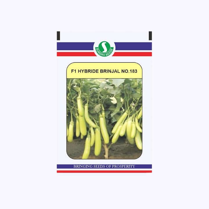 Sungro 183 Brinjal Seeds