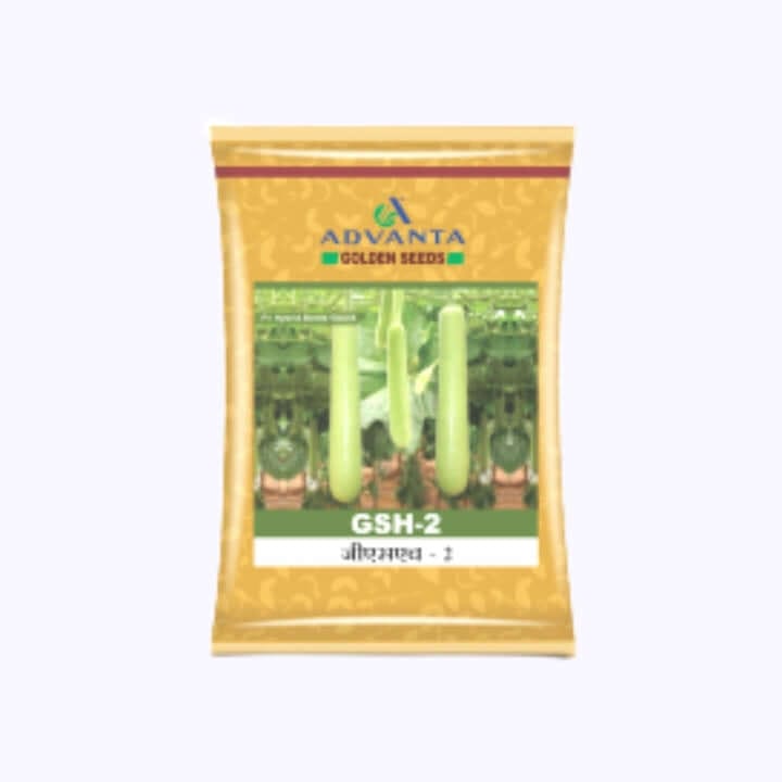 Advanta GSH-2 Bottle Gourd Seeds