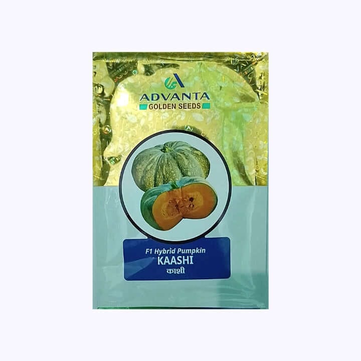 Advanta Kaashi Pumpkin Seeds