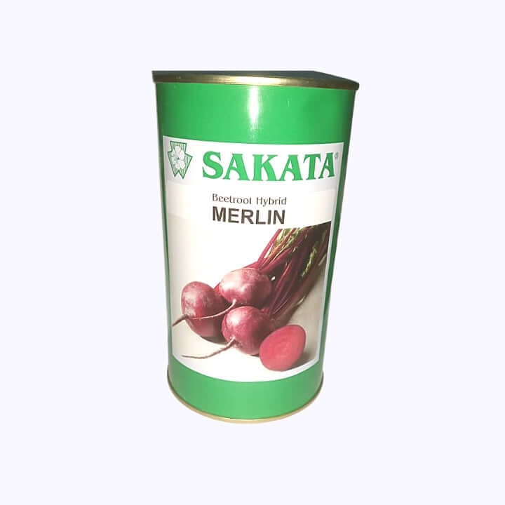 Sakata Merlin Beetroot Seeds