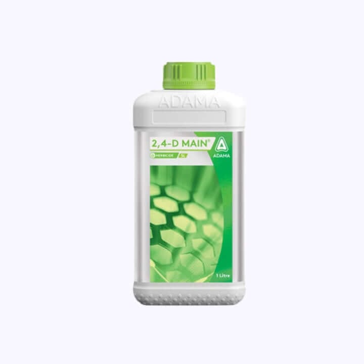 Adama 2,4 -D Main Amine Salt 58% SL Herbicide