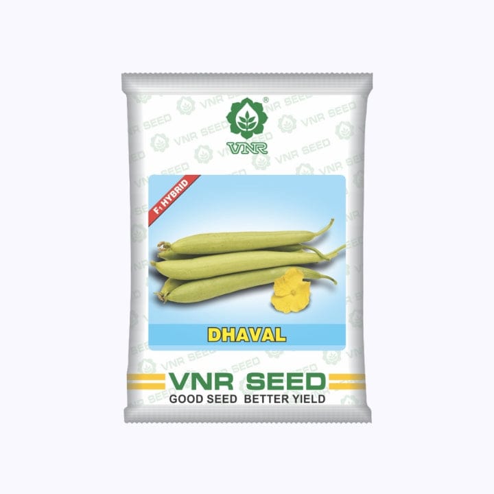 VNR Dhaval Sponge Gourd Seeds