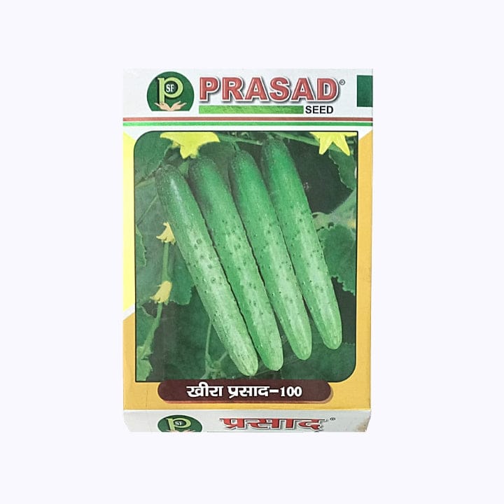 Prasad 100 Cucumber Seeds