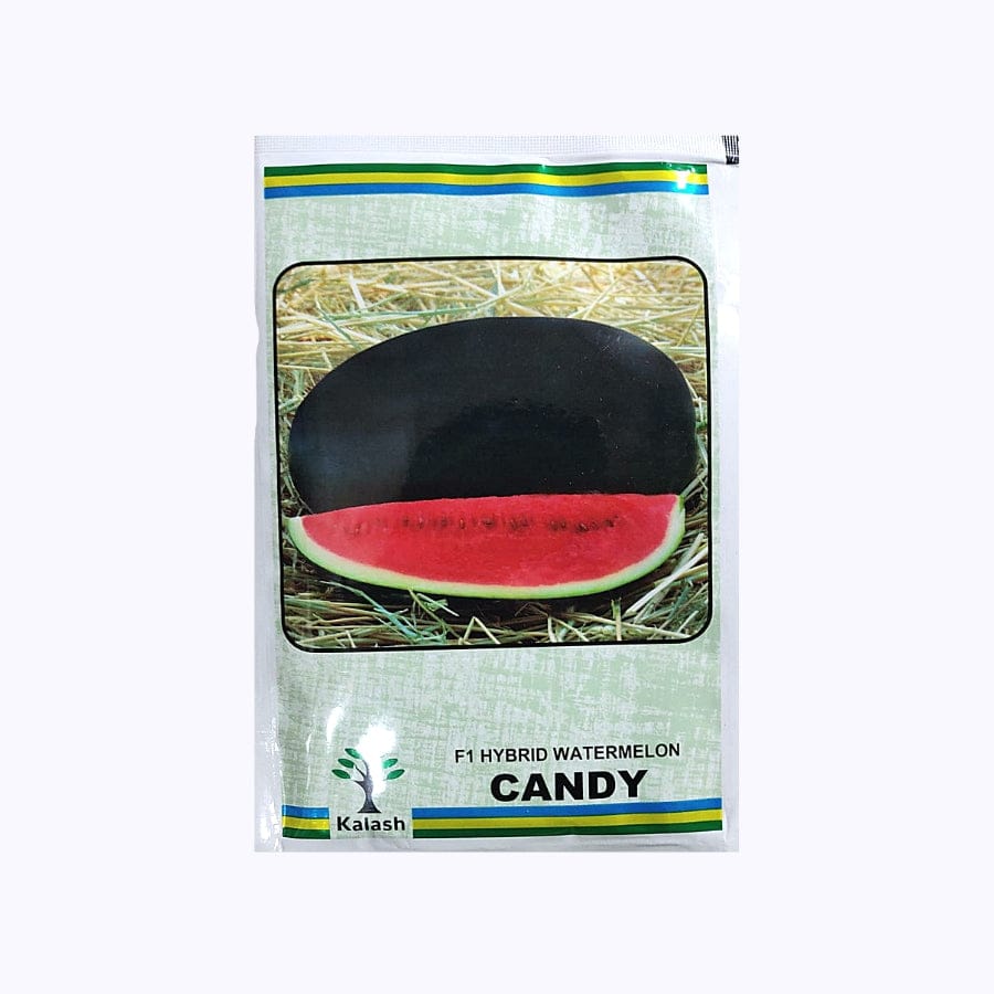 Kalash Candy Watermelon Seeds