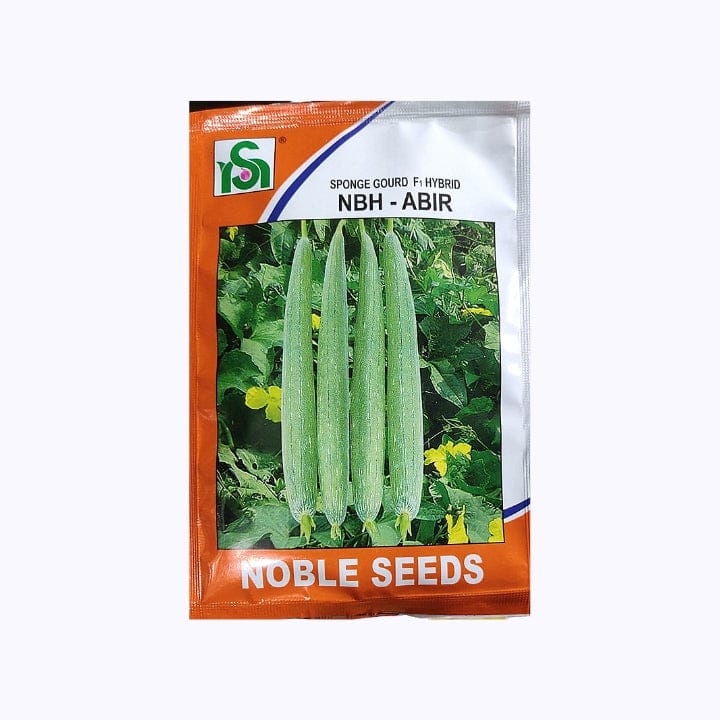 Noble NBH-ABIR Ridge Gourd Seeds
