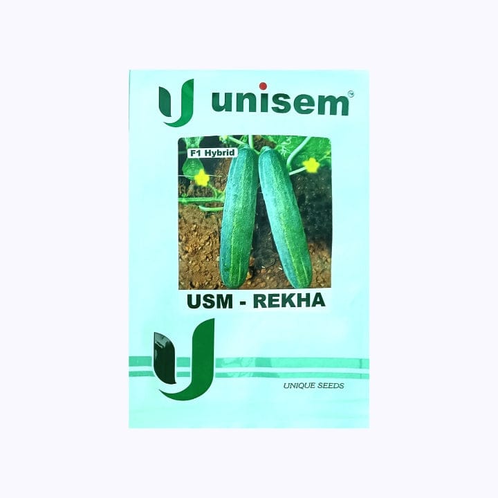 Unisem USM-Rekha Cucumber Seeds