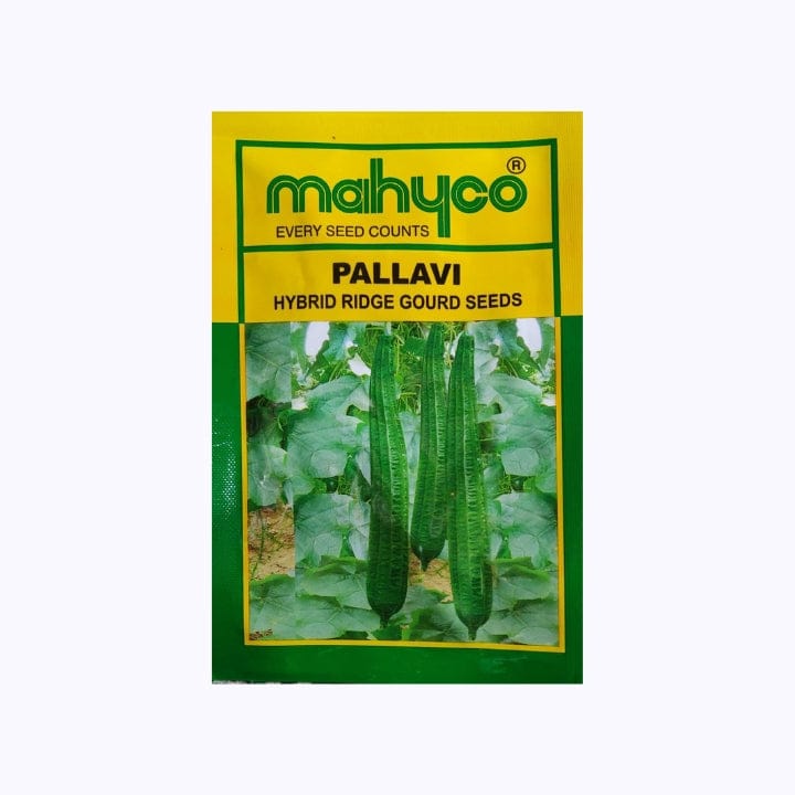 Mahyco Pallavi Ridge Gourd Seeds