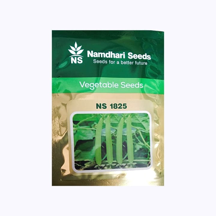 Namdhari NS 1825 Sponge Gourd Seeds