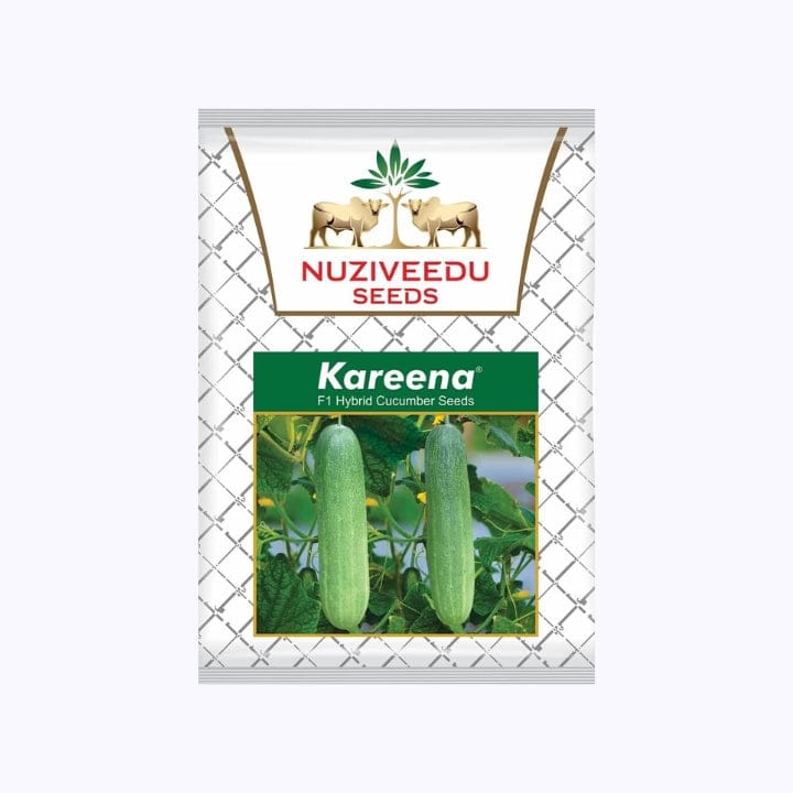Nuziveedu Kareena Cucumber Seeds