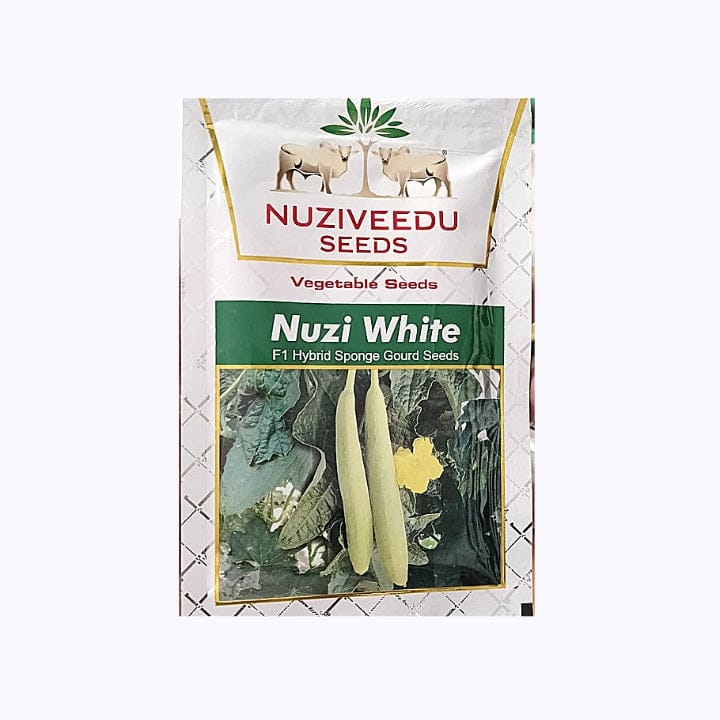 Nuziveedu Nuzi White Sponge Gourd Seeds