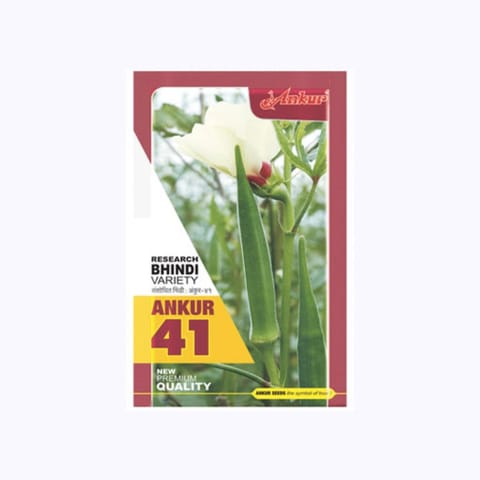 Ankur-41 Okra Seeds