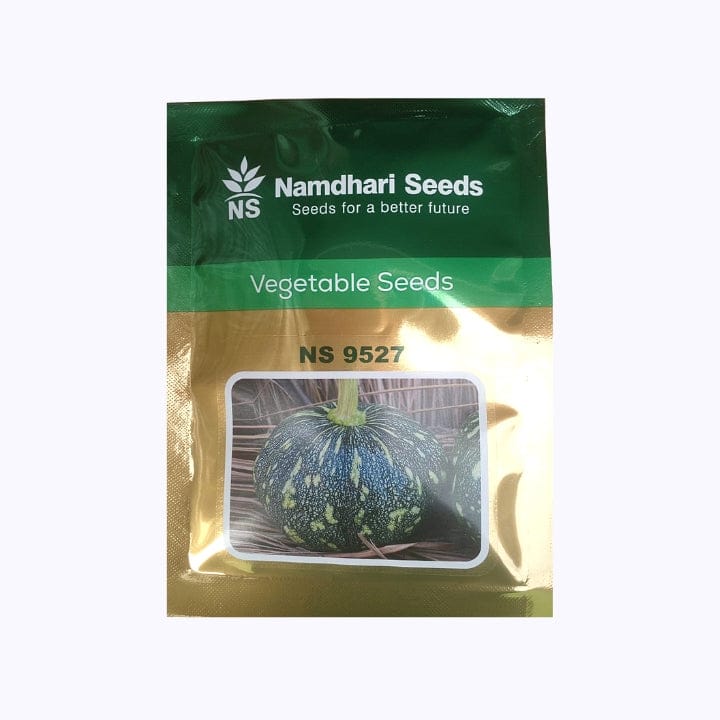 Namdhari NS-9527 Pumpkin Seeds