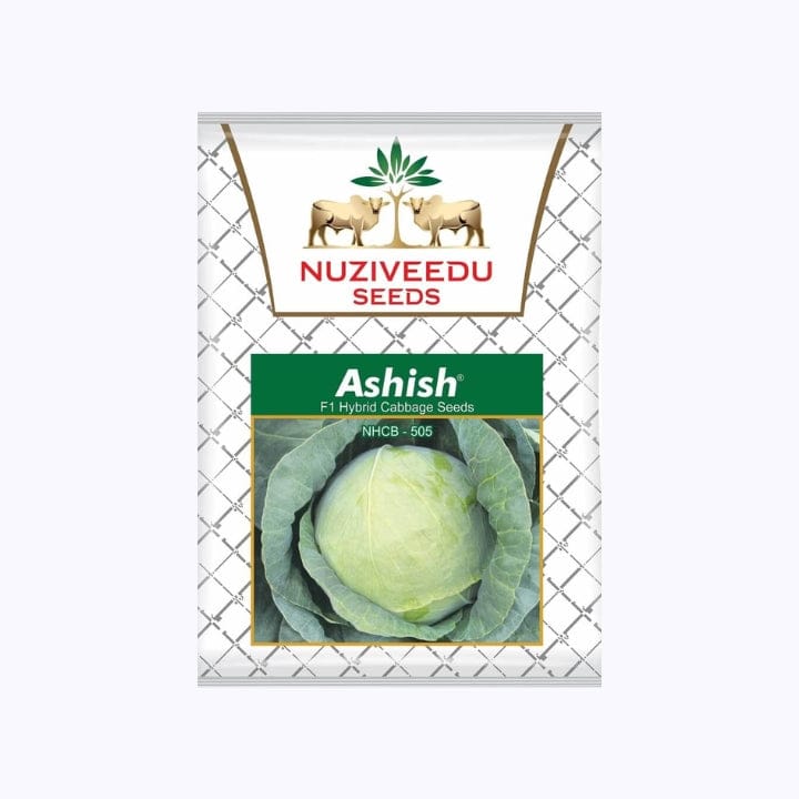 Nuziveedu Ashish NHBC-505 Cabbage Seeds