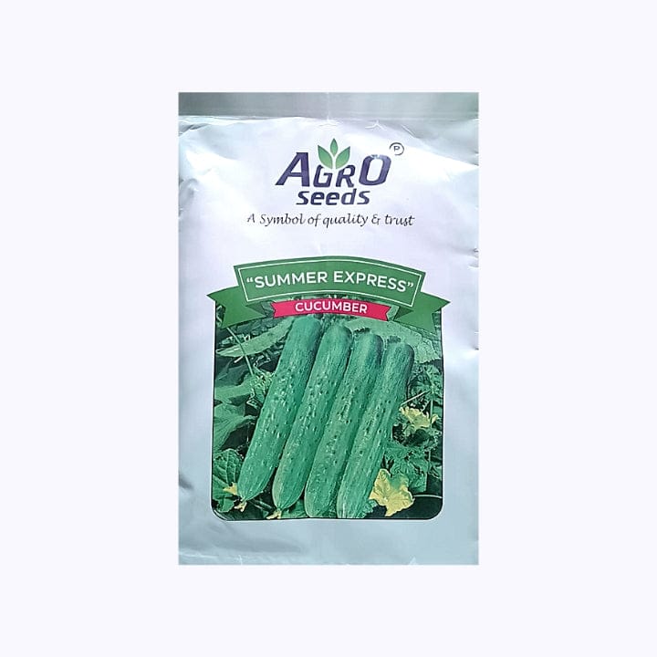 Agro Summer Express Cucumber Seeds