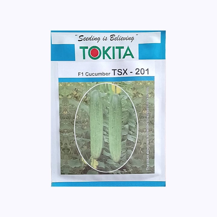 Tokita TSX-201 Cucumber Seeds