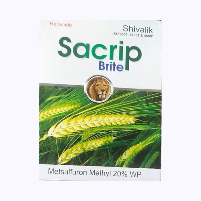 Shivalik Sacrip Bright Metsulfuron Methyl 20% WP Herbicide