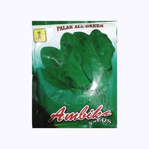 Ambika Palak All Green Saag Seeds