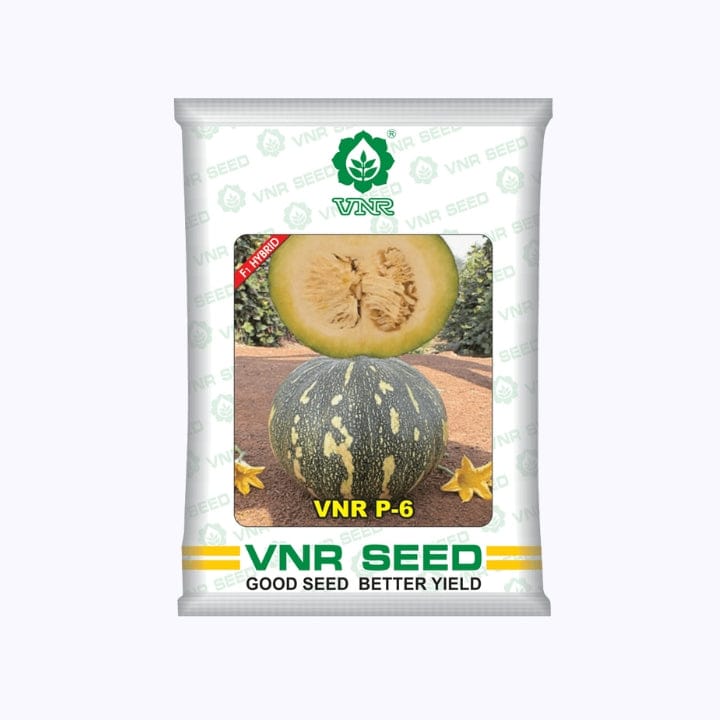 VNR P-6 Gold Pumpkin Seeds