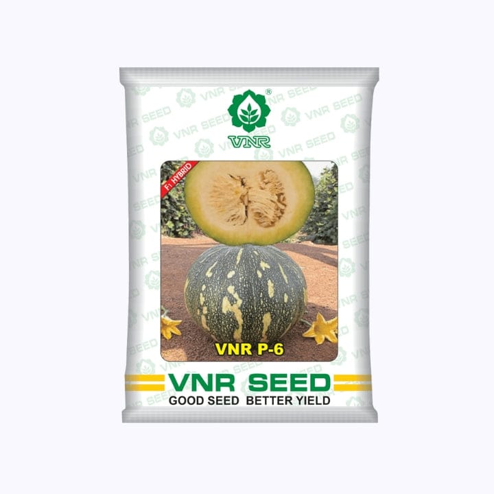 VNR P-6 Gold Pumpkin Seeds