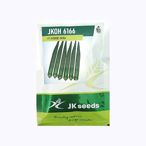 JK Jkoh 6166 Okra (Bhindi) Seeds