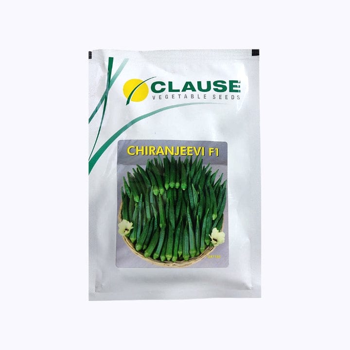 Clause Chiranjeevi Okra (Bhendi) Seeds