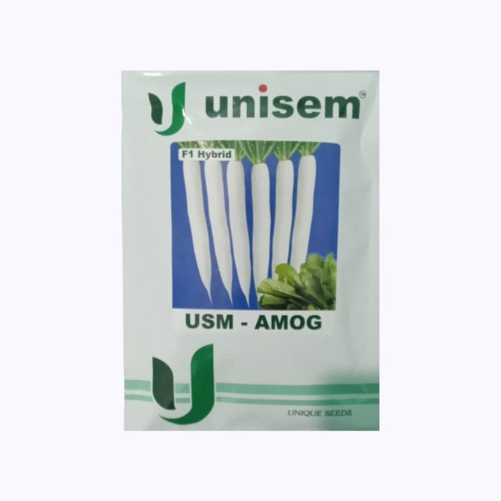Unisem USM-Amog Radish Seeds