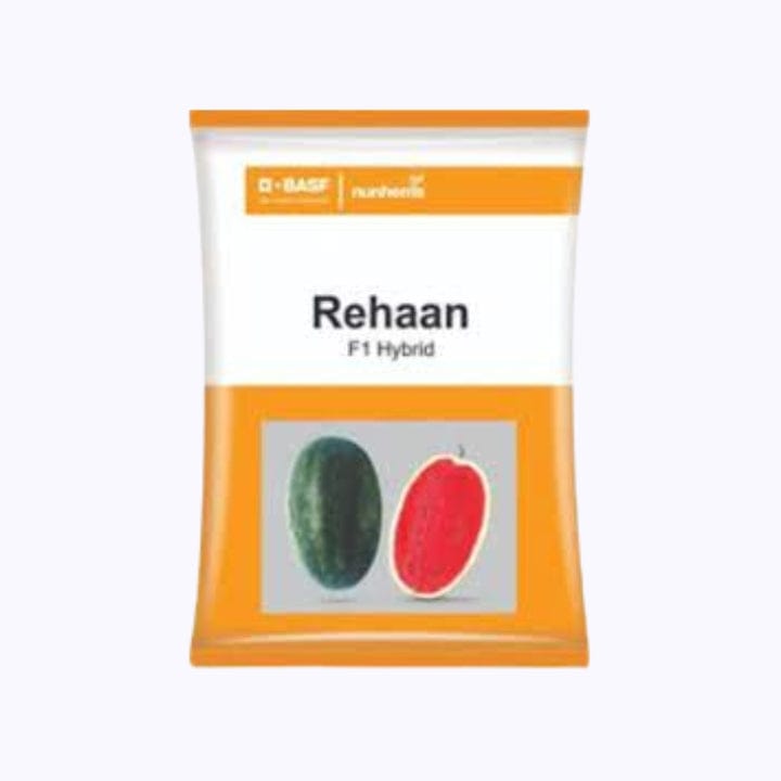 BASF Nunhems Rehaan Watermelon Seeds