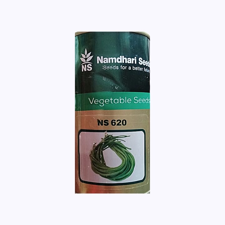 Namdhari NS 620 Cowpea Seeds