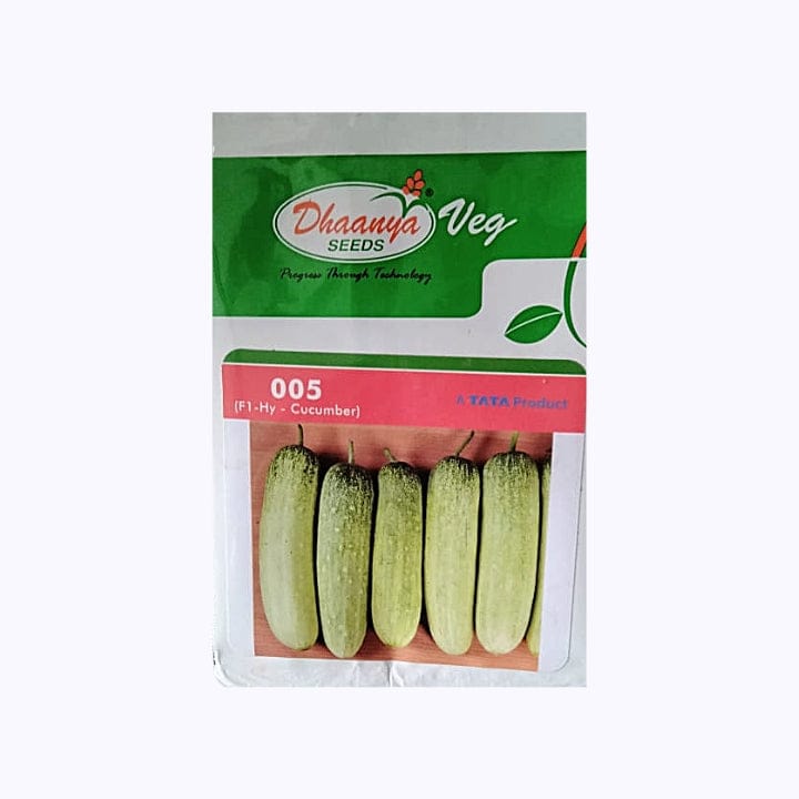 Dhaanya 005 Cucumber Seeds