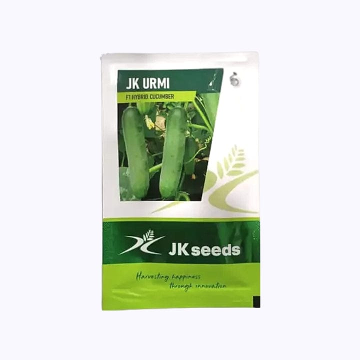 JK Urmi Cucumber Seeds