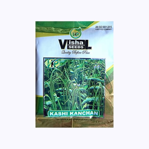 Vishal Kashi Kanchan Cowpea Seeds