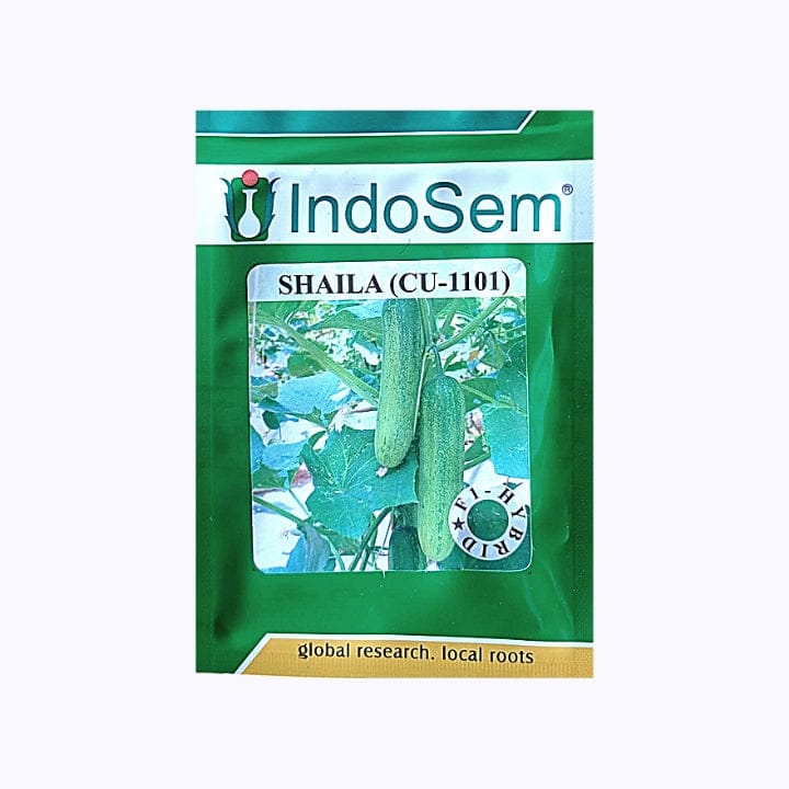 Indosem Shaila (CU-1101) Cucumber Seeds