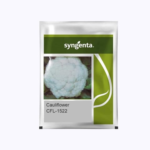 Syngenta CFL-1522 Cauliflower Seeds